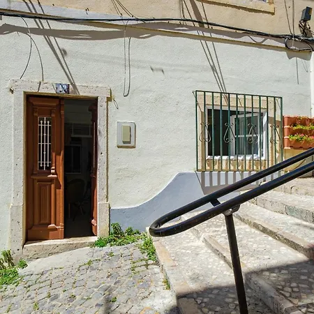 New! Unique 1 Bedroom Apartment- Santa Catarina 42-2